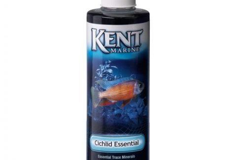 Kent Marine Essential Elements